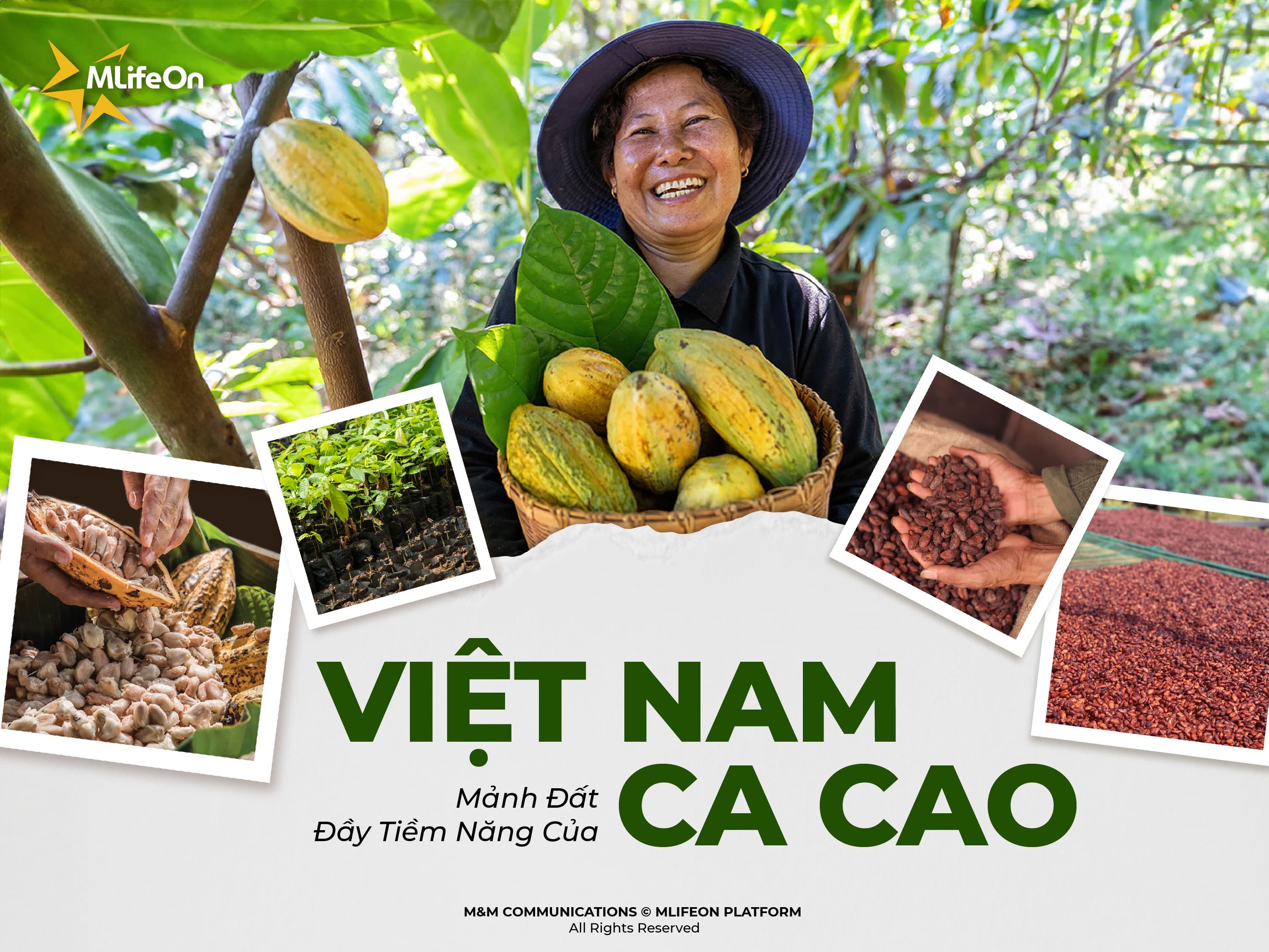 VIETNAM - A LAND FULL OF CACAO POTENTIAL